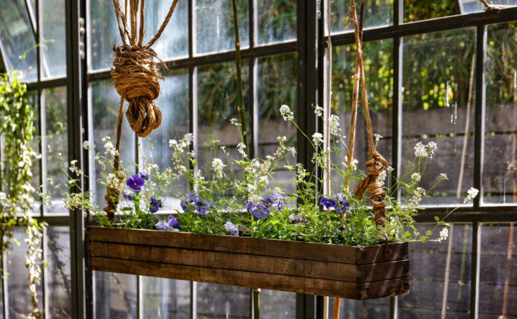 Free stock photo of colourful garden, flowerbox, flowers